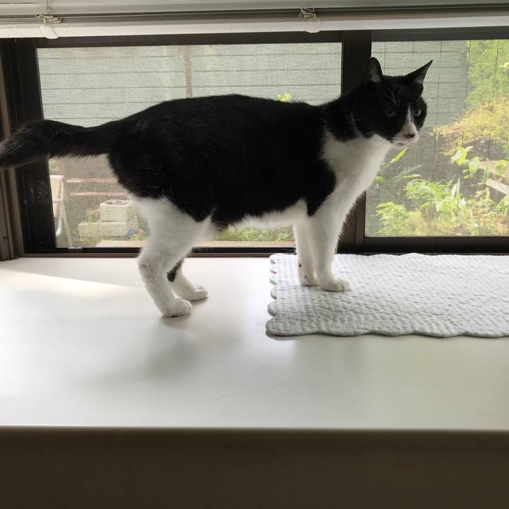 1d9f44ad fe16 4837 9233 bde11b4e0aa6