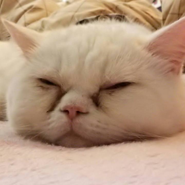 1d9f44da be9c 4e60 99b3 7dd4836a5eeb