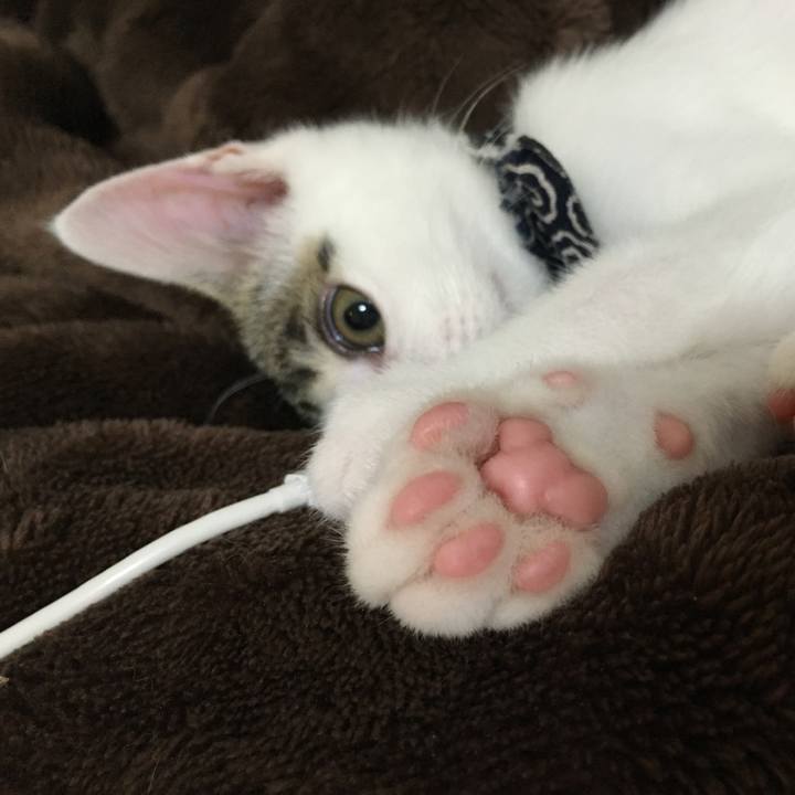 1d9fab5b bd60 4909 93f4 099bca37f0ed