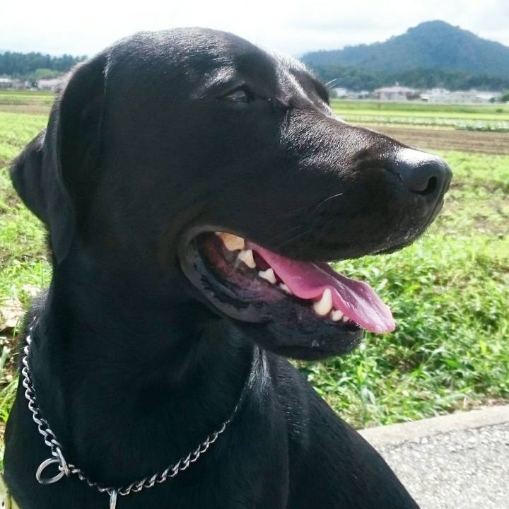 1d9faf6c e214 4fca 80f2 26159b11d8aa