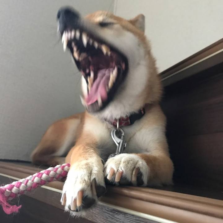 1d9fe582 265e 43c9 9269 fd9cbe7ddeb7