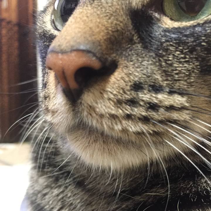 1da0321f 972a 4821 a972 25e851c71d4e