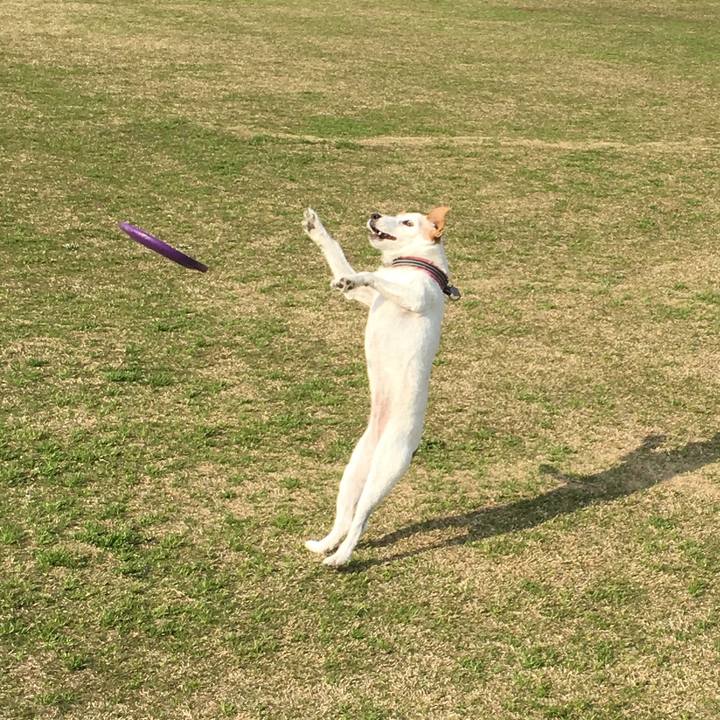 1da09f4f 7867 4c72 9476 12b890d87c08