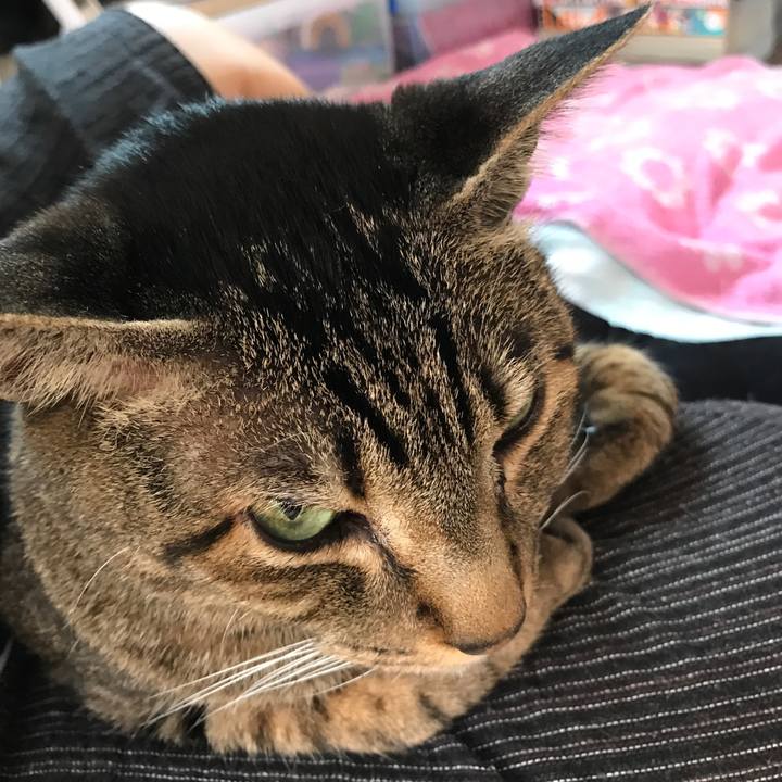 1da1bafb c2a0 4e6b b11a a22613cd8103