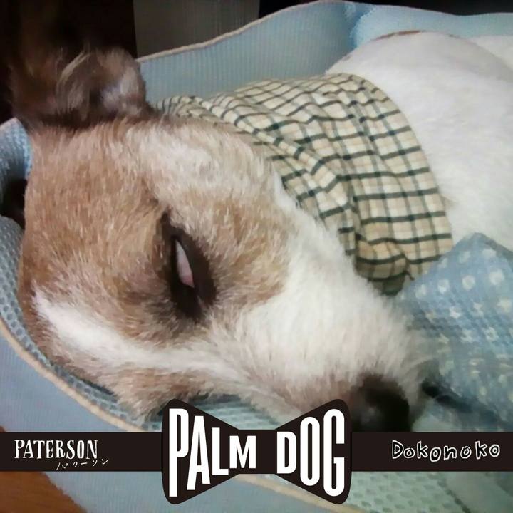 1da1d192 c524 4cb2 91d7 a378424f2e36