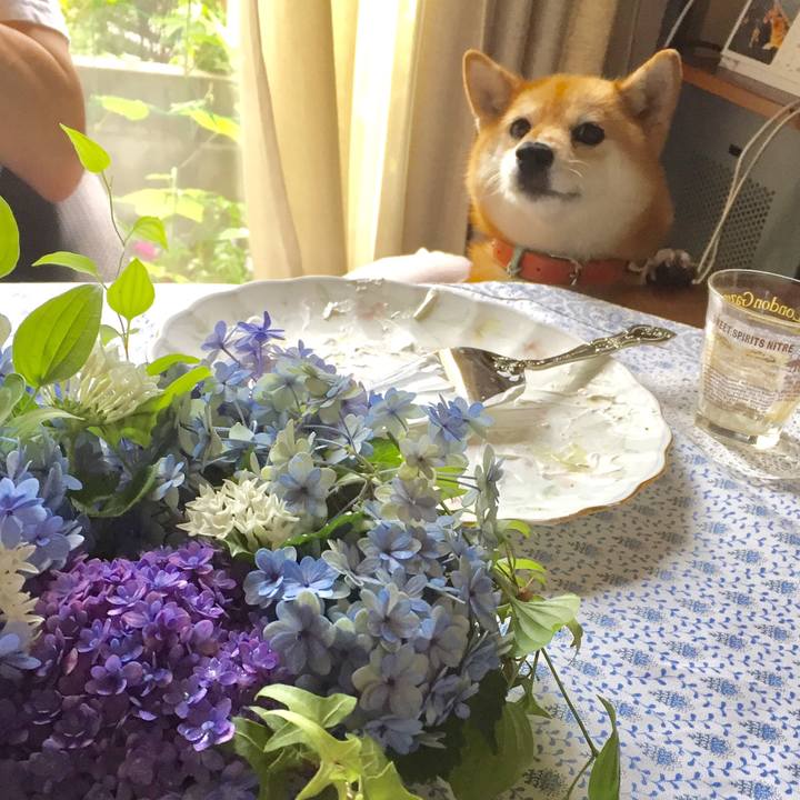 1da25442 f252 4ba2 89b8 47a3ef440697