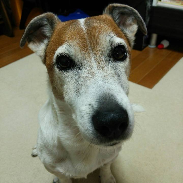 1da28378 2a3e 4bc6 b2ea 9cd6cf421370