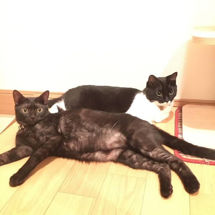 1da2ee72 ea8f 4598 8c5f f3fc5a98f3fb