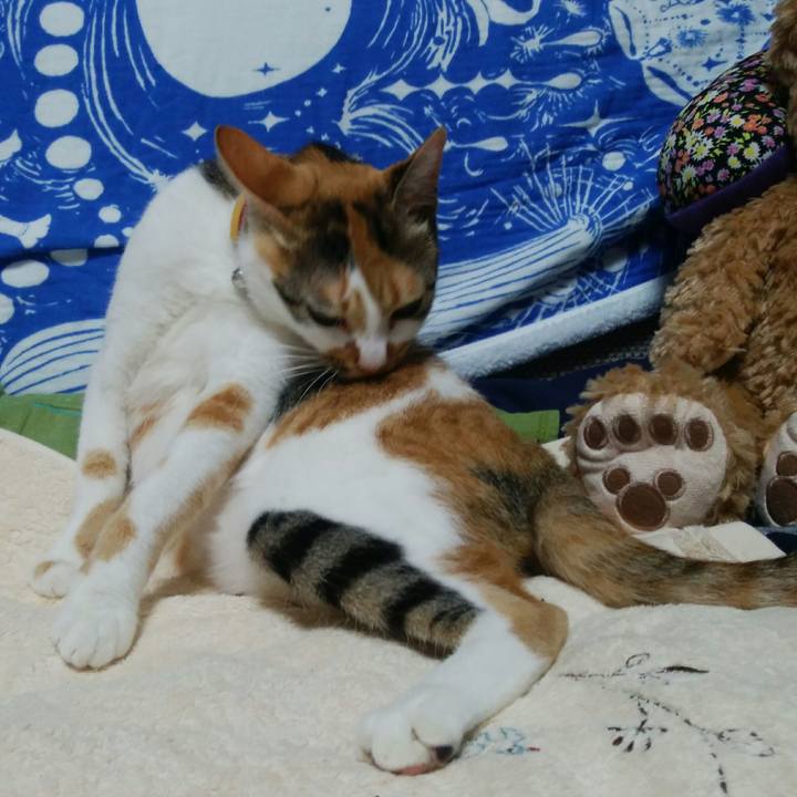 1da3107d b447 453a b28e 37268661b225