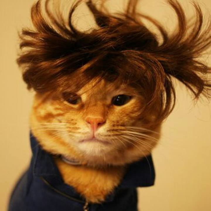 1da3691a d9e7 4aff 9519 0f4999d8c498