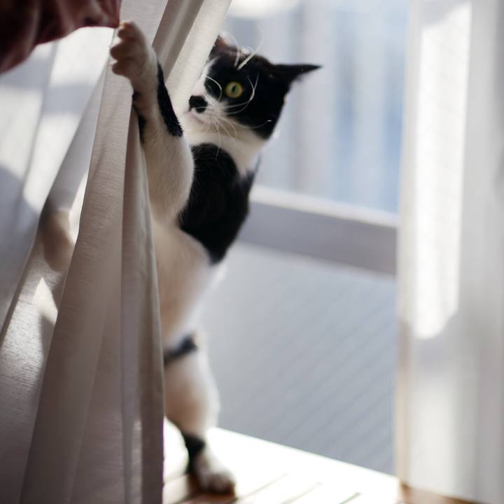 1da3ac1c bca4 48fc aeda 06ffa5ab478a