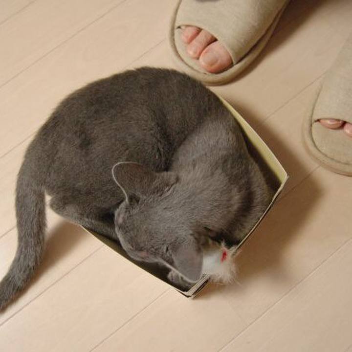 1da4c407 8a92 4e24 8b4d 909ef6b81b2e