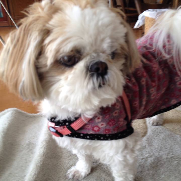 1da4e789 c549 46ac a20a 09bbe58df8b3