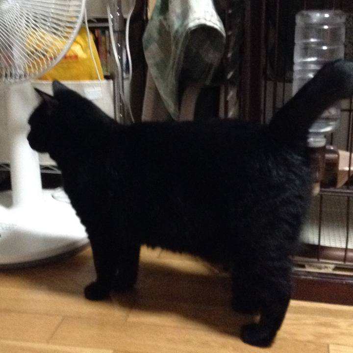 1da5b6fd 6537 45da 9e36 5d89c99fc3d2