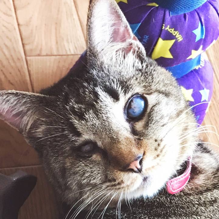 1da605f3 8b02 4130 a209 19467629630e