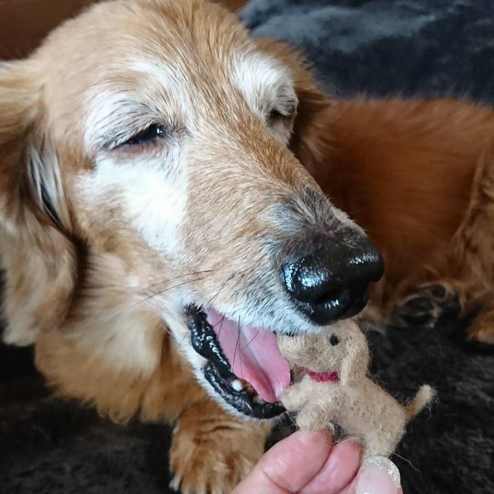 1da79fe7 6619 45fc a978 1cef3634aeee