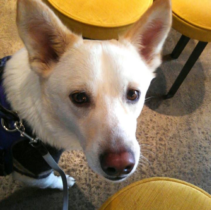 1da7afb6 ef2b 493d 87f5 b66e1531872b