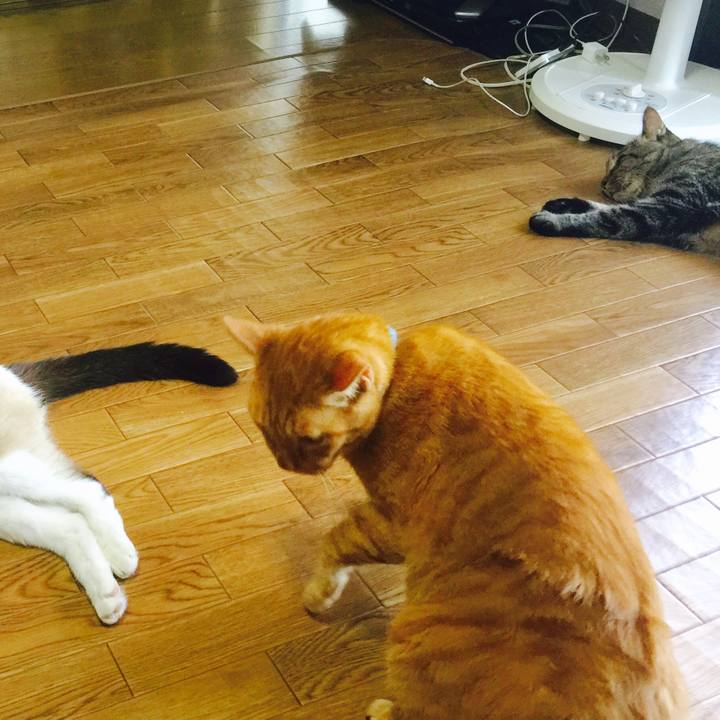 1da820b2 5927 4fda 8bdc bc148ece16bb