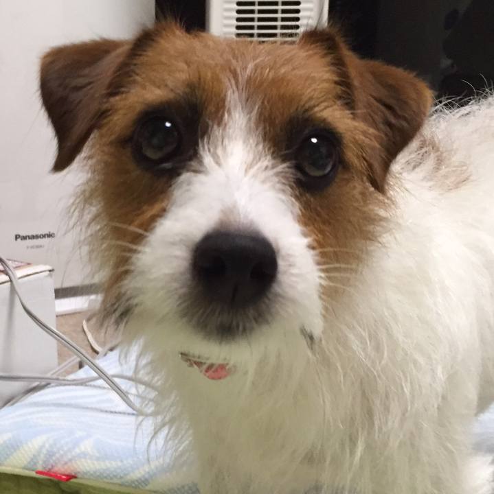 1da8d953 9778 4dc5 ab93 53d210611dd2