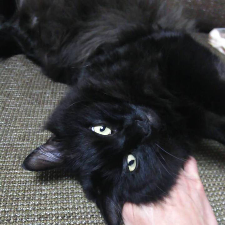 1da9604b f05a 4c05 944c 28dd98c67e2e