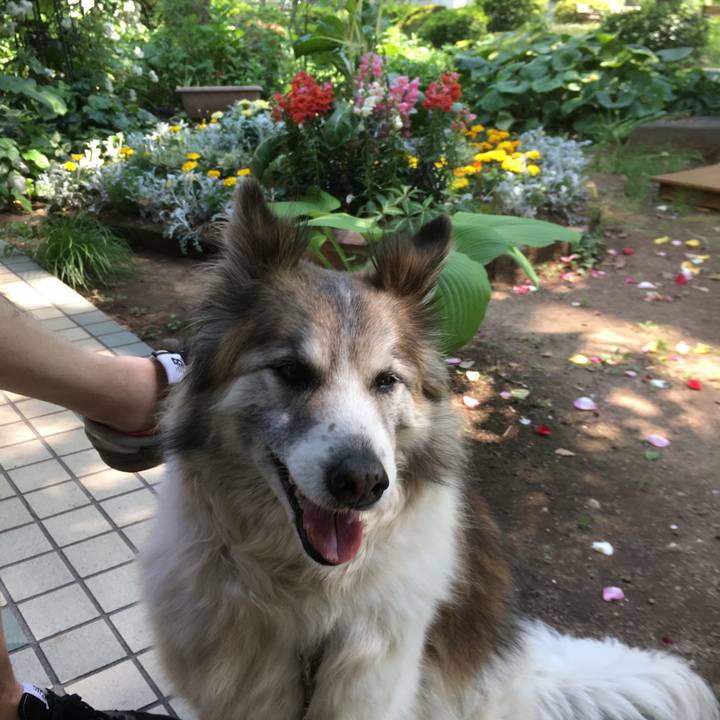 1daa2a30 5156 4457 8d68 be1971831a0a