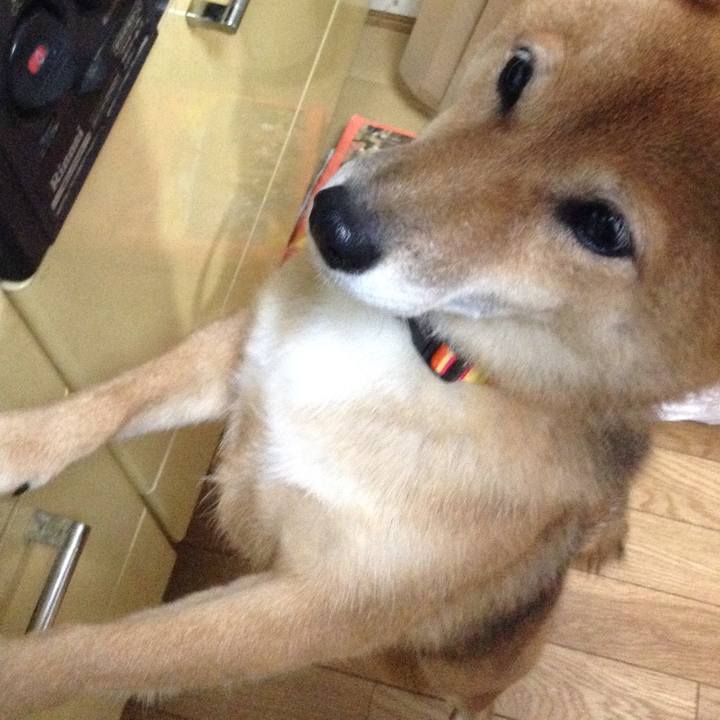 1daaf521 c100 4a73 a81f b208f65112ec