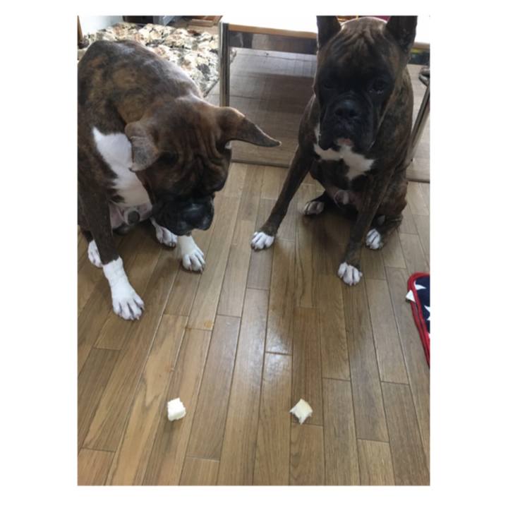 1daafb5f a9ba 4cee 8ca2 0d36846a6d4c