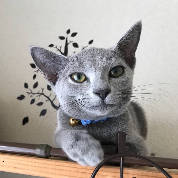 1dabd1c3 2032 4dfb aff5 18b651a249d7