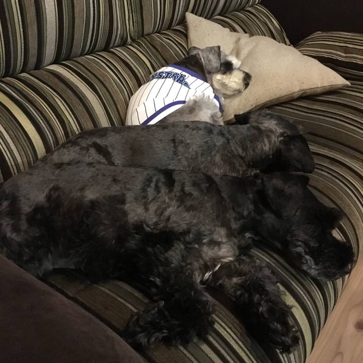 1dabd6ce 38b9 4884 8104 96e1e8fdc21b