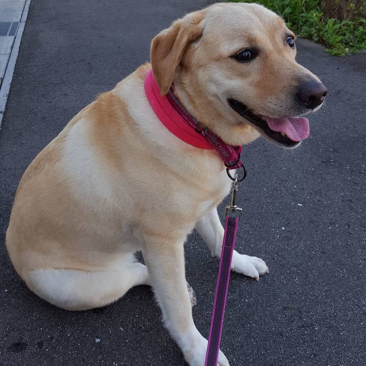 1dac183a 48fb 4498 a204 3af571f245e5