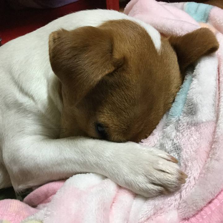 1dac214d 2300 4f20 ae44 c1ea189d6ec0