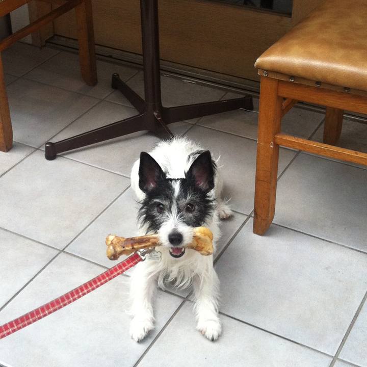 1dac3f69 ff00 4b1a b2b8 b6c0a0b4e921