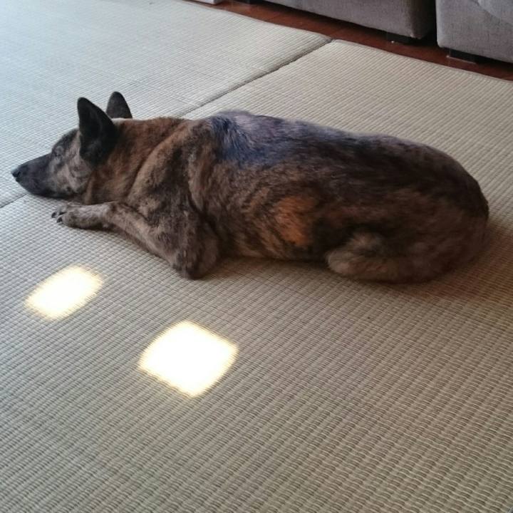 1dacc449 18a3 40d6 8075 b6747a19de6c