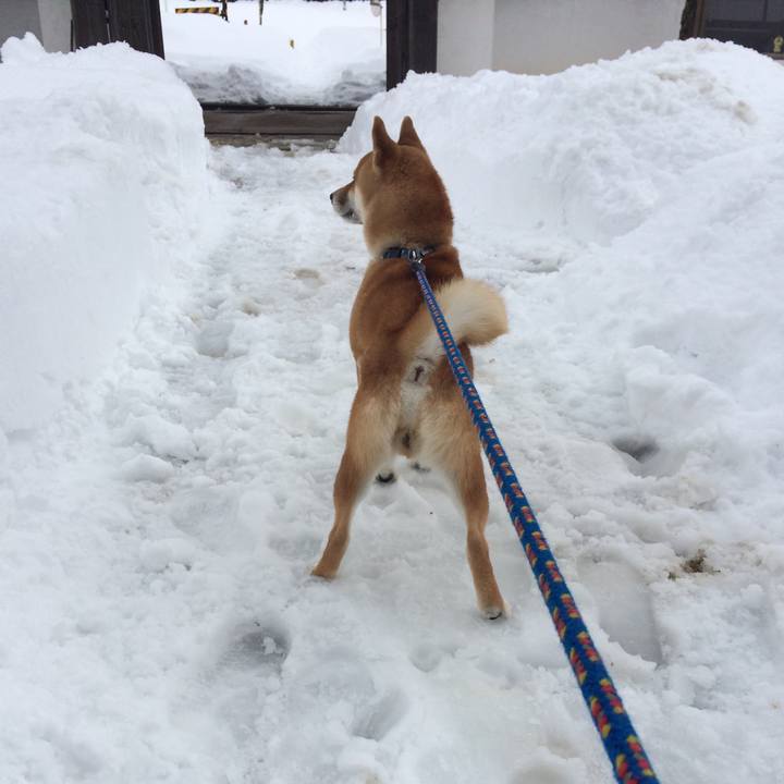 1dacc7d0 98d0 4284 a7fe f1d589a89e84