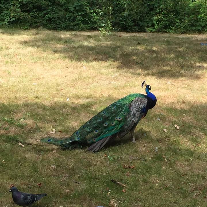 1dad5087 f625 4ecf b6d7 09d3ab49fff5