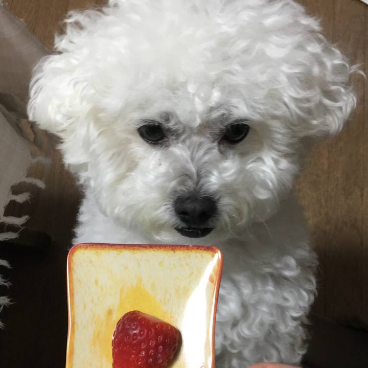 1dae7902 d716 44f7 a52a 0a6250887f58