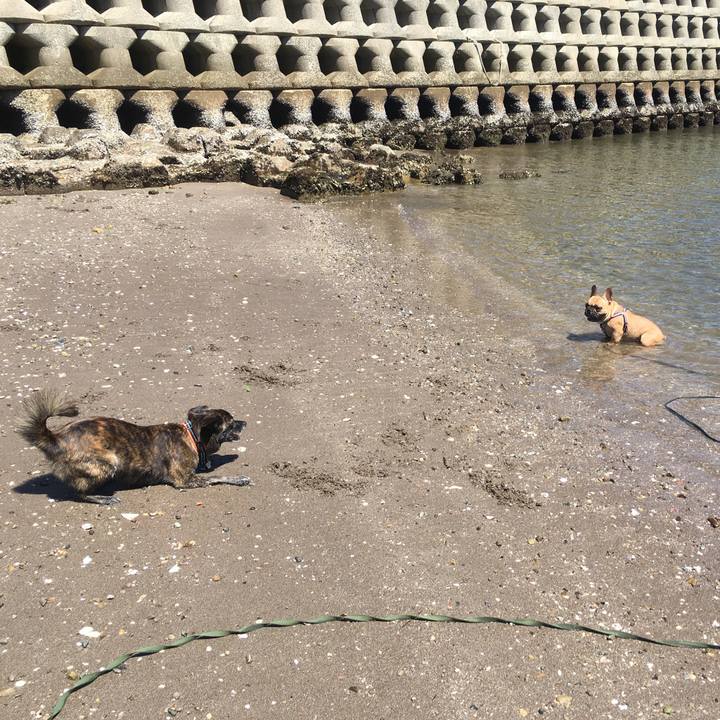 1daea32c 5342 464f 8bda 3a0c7f496fc3