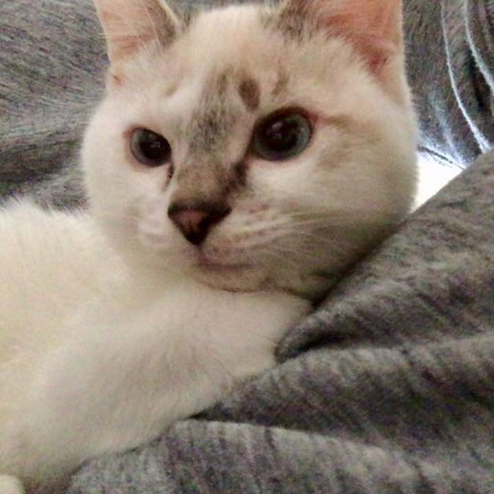 1daebe4f 82b7 4abc 8517 b5f281efa6f1