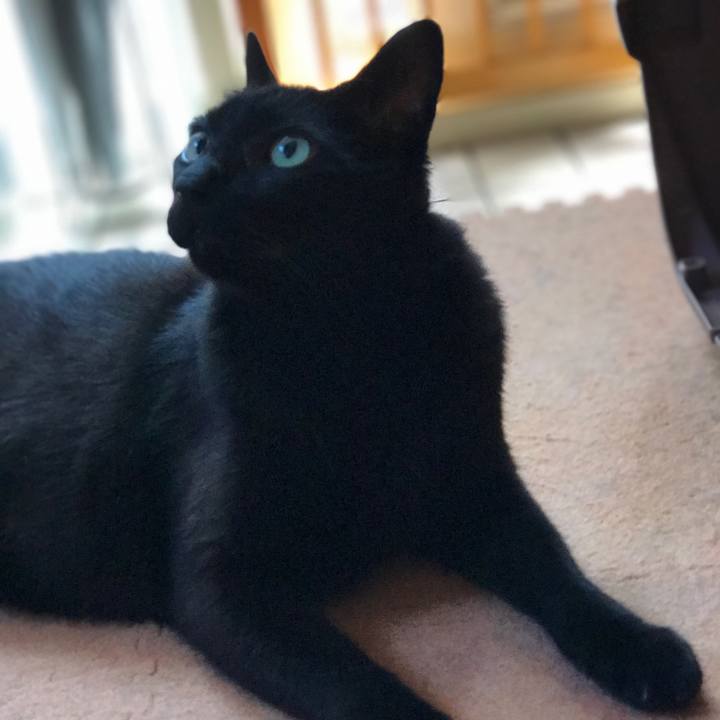 1dafb097 e506 4bfa aaba d2db2c9b64ea