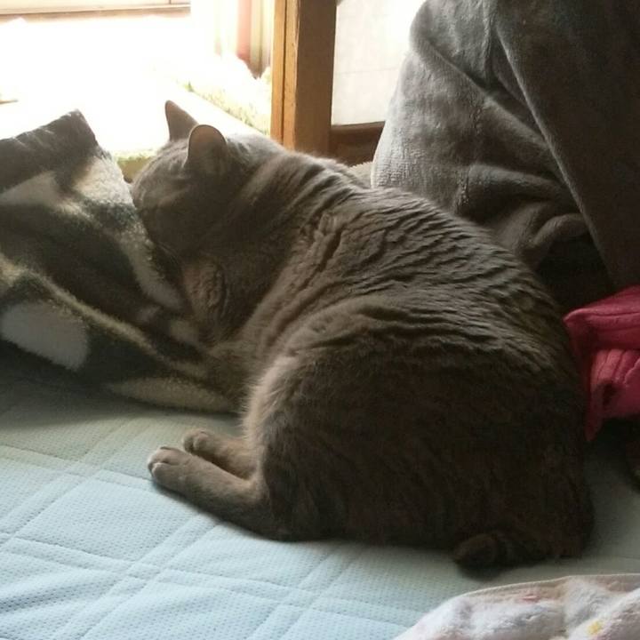 1db01817 7fb4 48ec a535 6b4a86c4a3cc