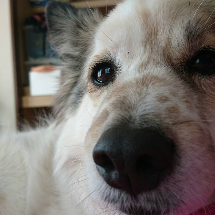 1db12de4 9b66 4a9c 85e9 e915f3f17dcd