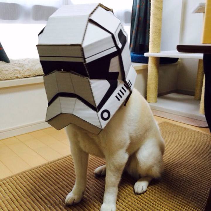 1db185a9 9a74 4662 a2b1 9df17d1ca911