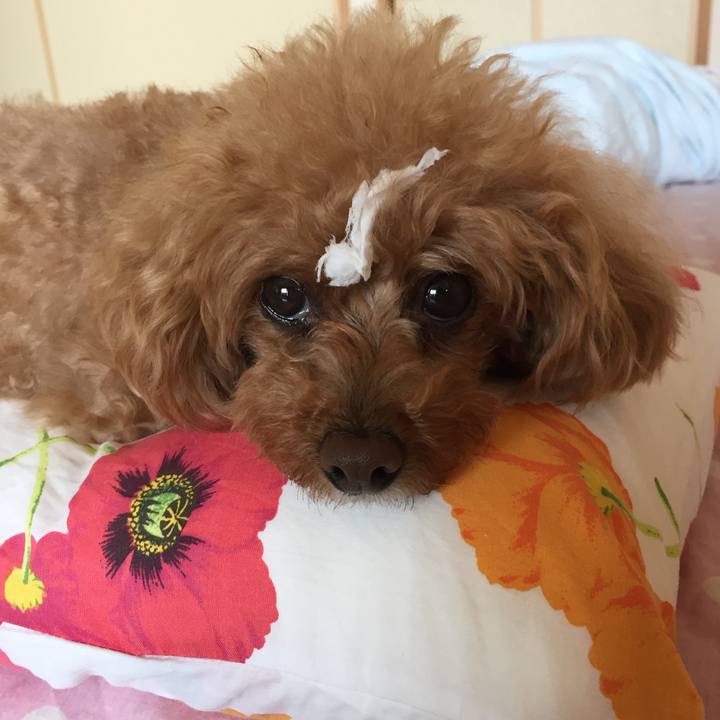 1db33c9e f8ff 4b2e b1c0 6267b7607e6e