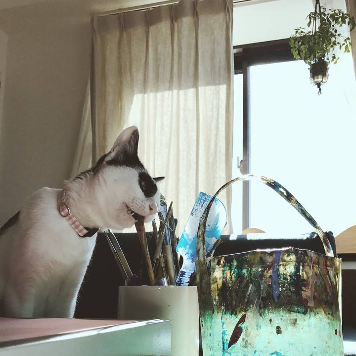 1db35c22 b069 45c4 9681 ef808b1320b1