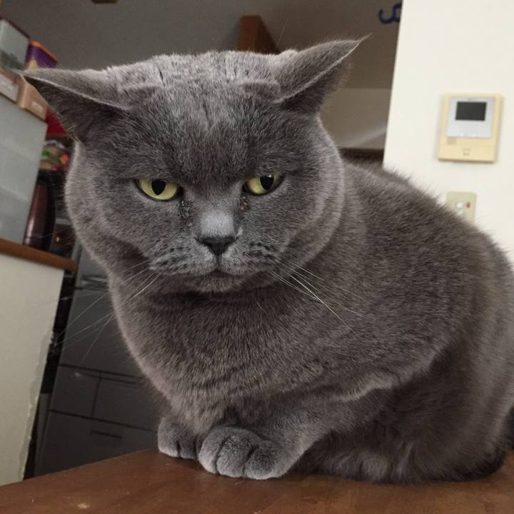 1db3f1f7 54cf 448c acfa 581feef877fa