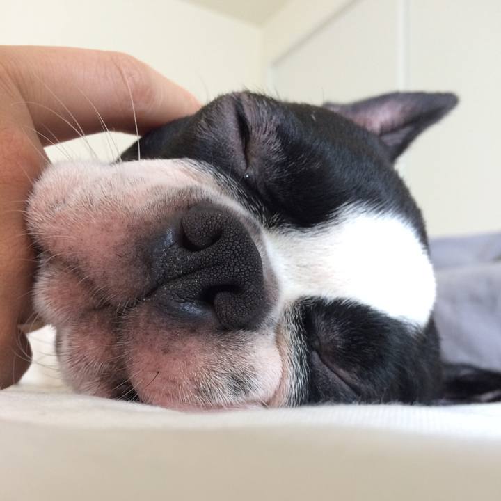 1db41e2e 4fe2 4b41 9ee7 be24bf4b8097