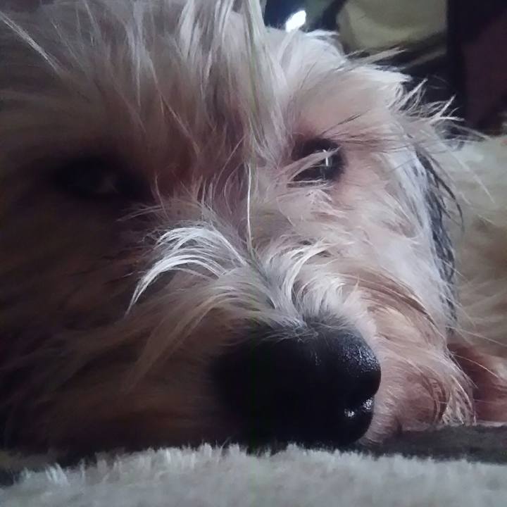 1db55cbe 0572 48cc aaec 06dd5df715ff