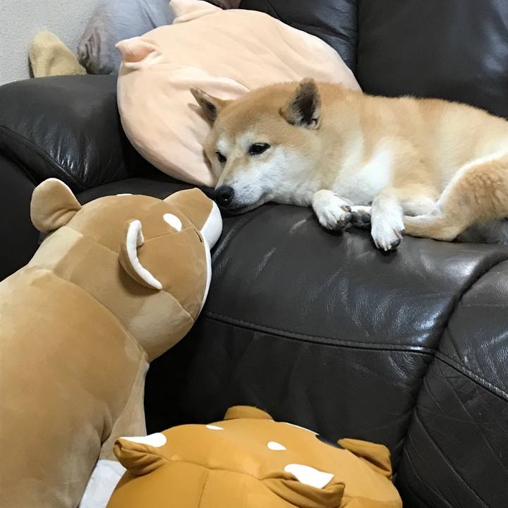 1db5bcde ad40 4de3 9a56 b7bfc96cd4f3