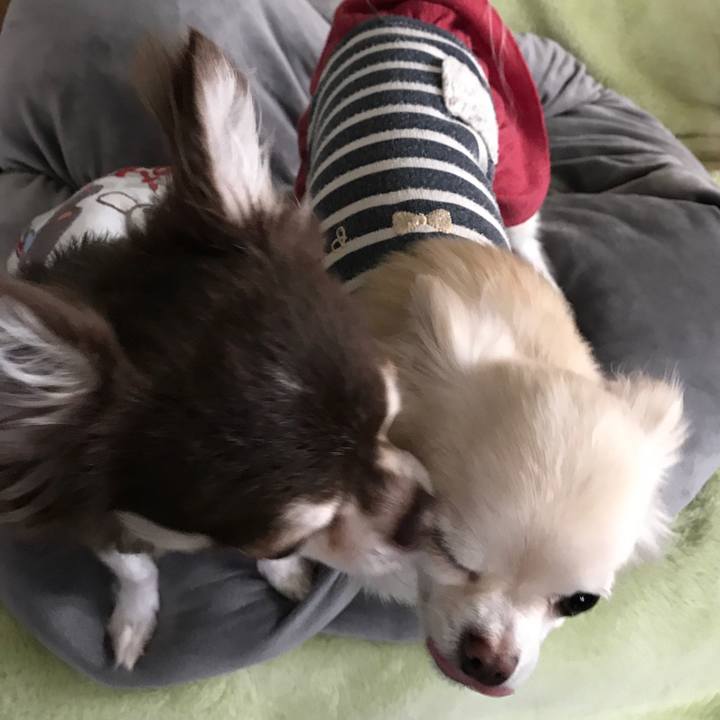 1db5d468 d9ce 4f5b a118 82aa7bddde2d