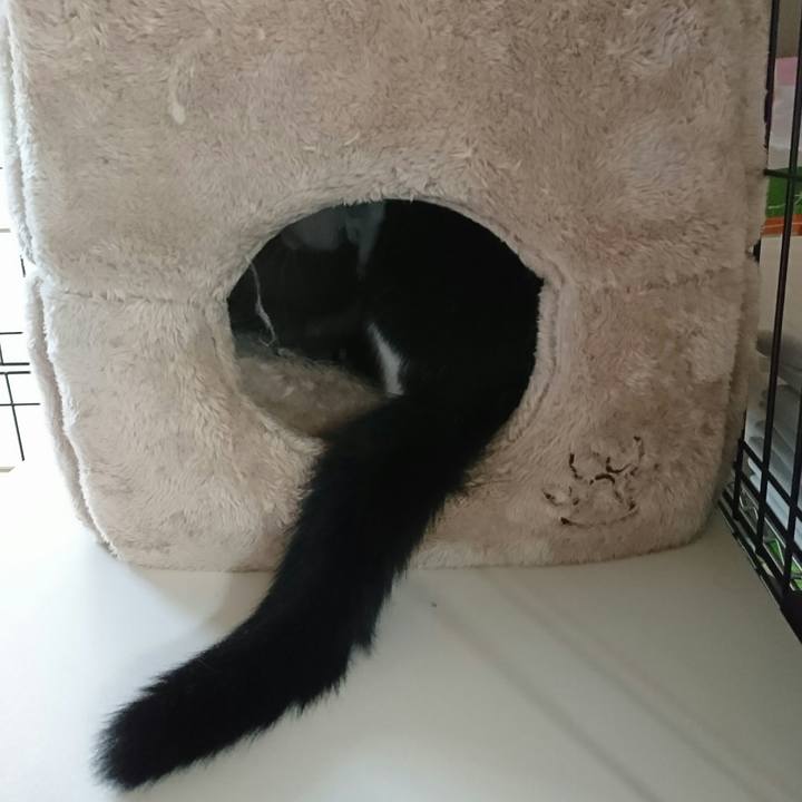 1db6123c 1dd8 460f a75a bb3192cc67de